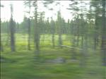 Sweden 2006-04 133
